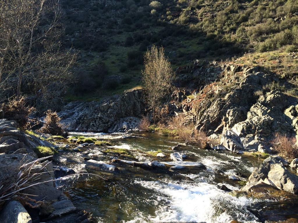 La Primavera Nuez Bagian luar foto