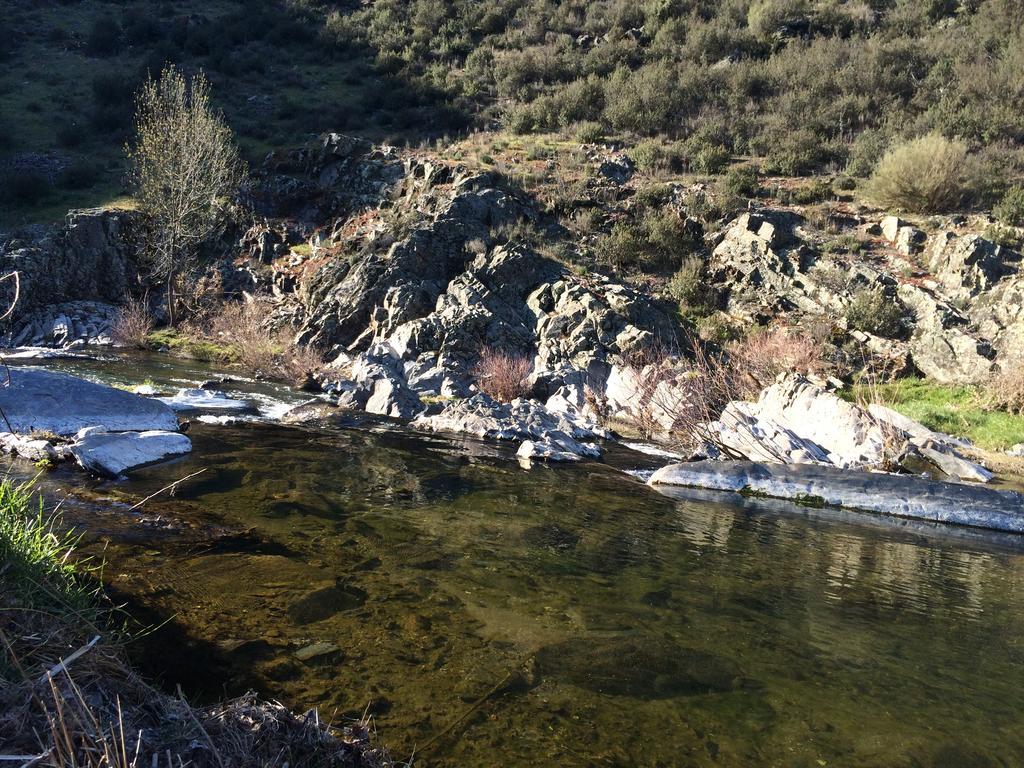 La Primavera Nuez Bagian luar foto