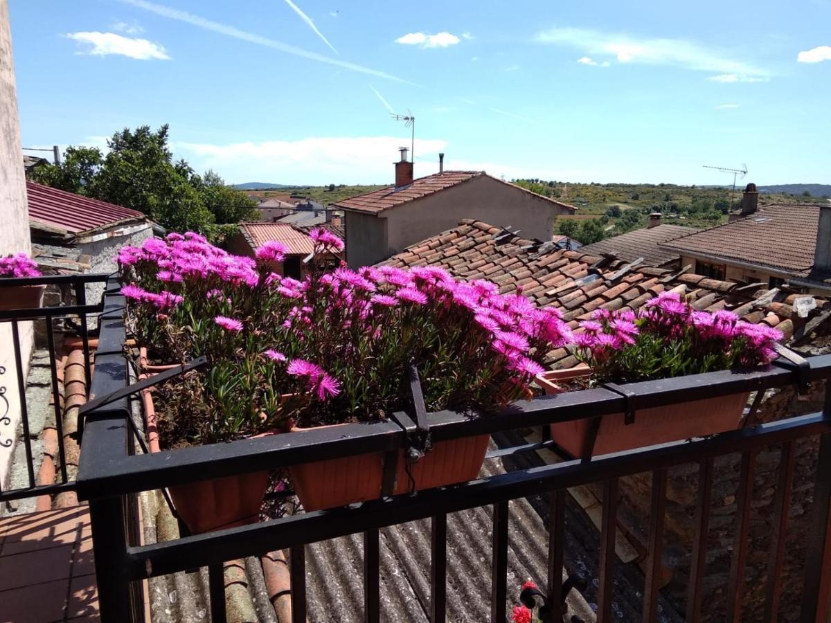 La Primavera Nuez Bagian luar foto